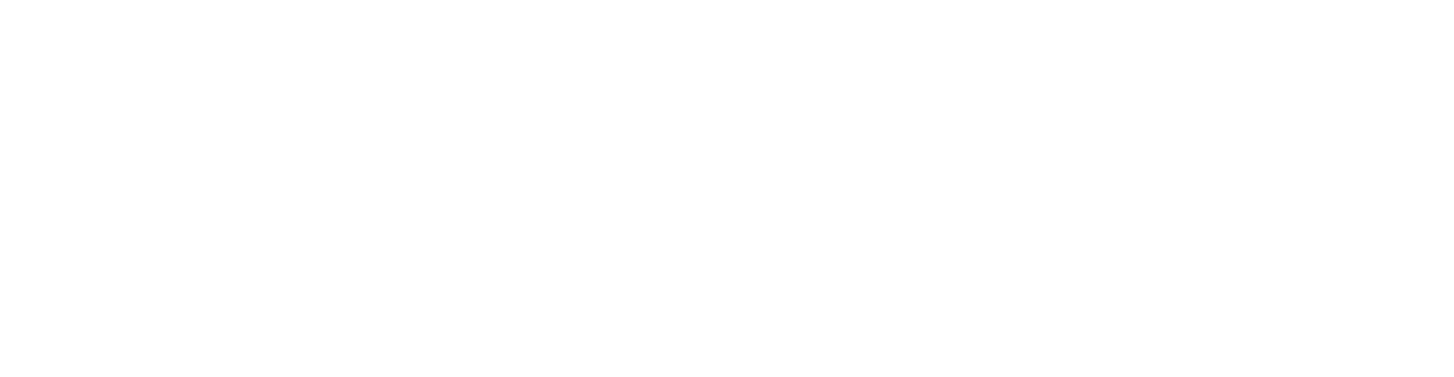 STAR Aircraft Medical Consulting